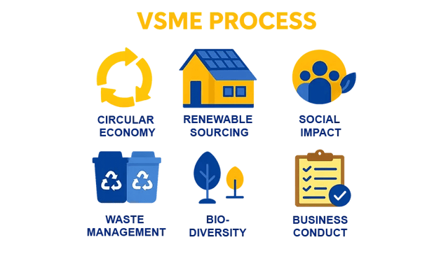 Sustainability-VSME-overview-IBS